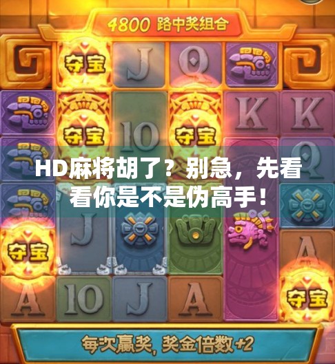 HD麻将胡了？别急，先看看你是不是伪高手！