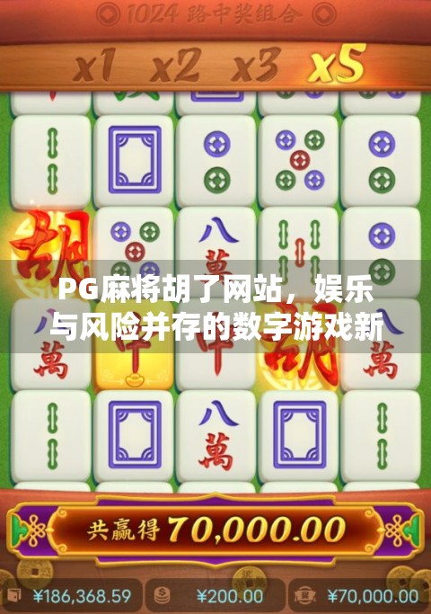 PG麻将胡了网站，娱乐与风险并存的数字游戏新战场